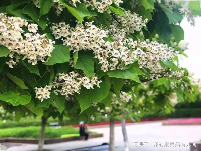 养生取名大全集_养生男孩取名_取名养生男孩名字