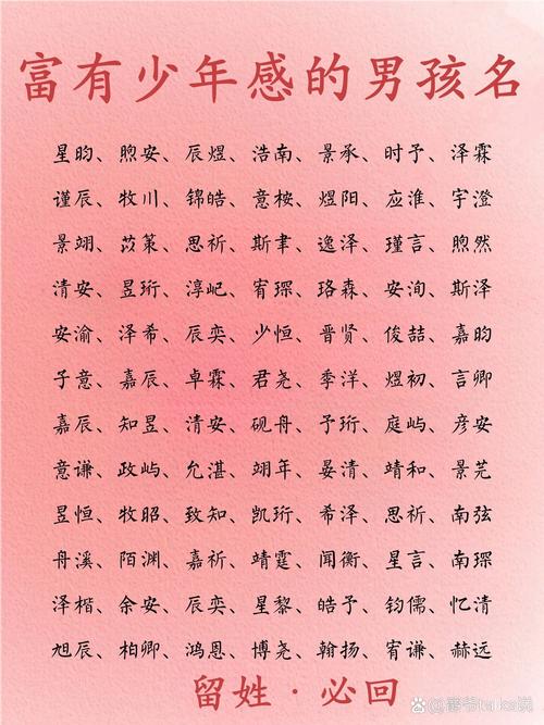 起名字男孩2020年_男孩取名2021年_2020年男孩子取名