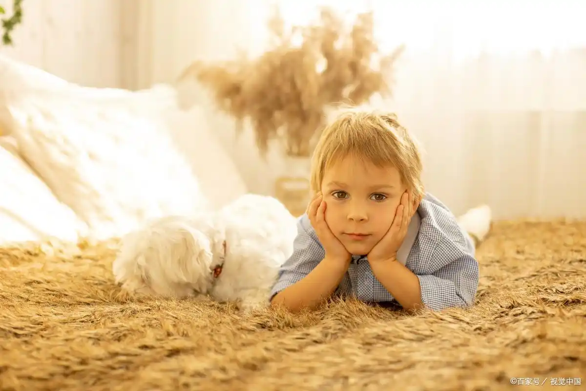女孩兔宝宝取名字大全集_好听女兔宝宝名字大全_属兔女孩漂亮有涵养名字