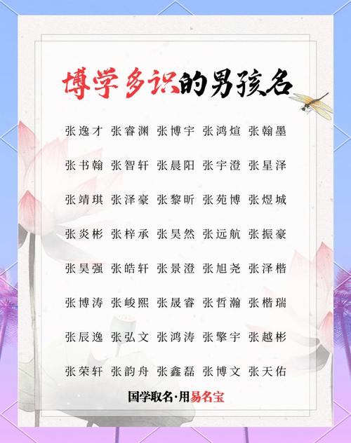 张姓男孩五行属金取名_男孩取名 张_张姓男孩起名优雅可爱