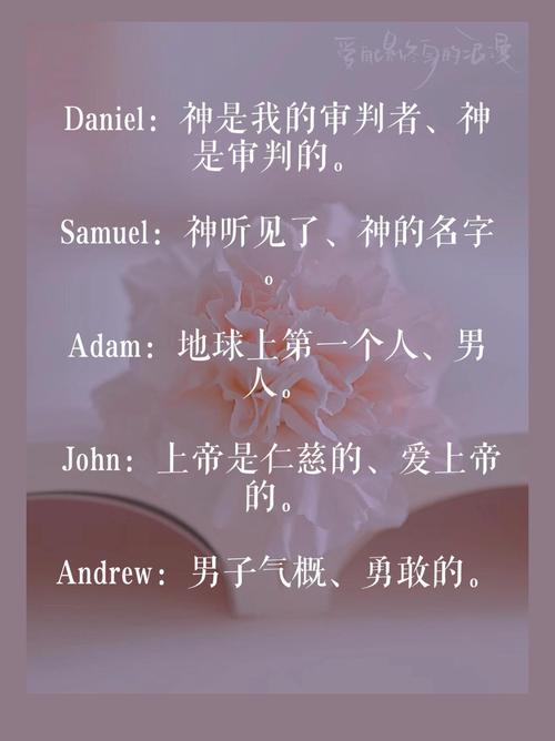 女孩取名男孩英文名_坚强勇敢男孩英文名_英文名字代表勇敢的男孩