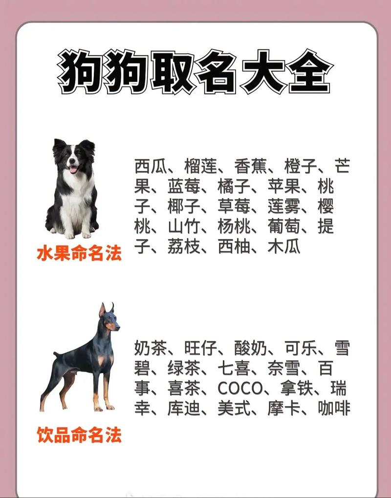 狗年男孩有寓意名字_狗年生男孩子取名字宜忌_狗年男孩名字大全