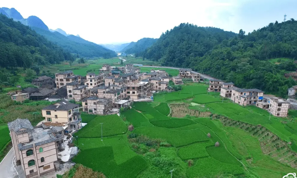 取名女孩子带木_中国姓名学大师谢咏八字五行缺木取名_五行属木女孩名字推荐