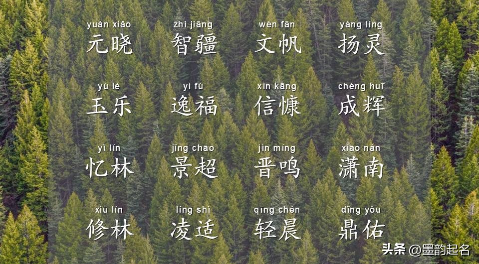 姓名命理学_王溪什么取名男孩_国学诗词取名