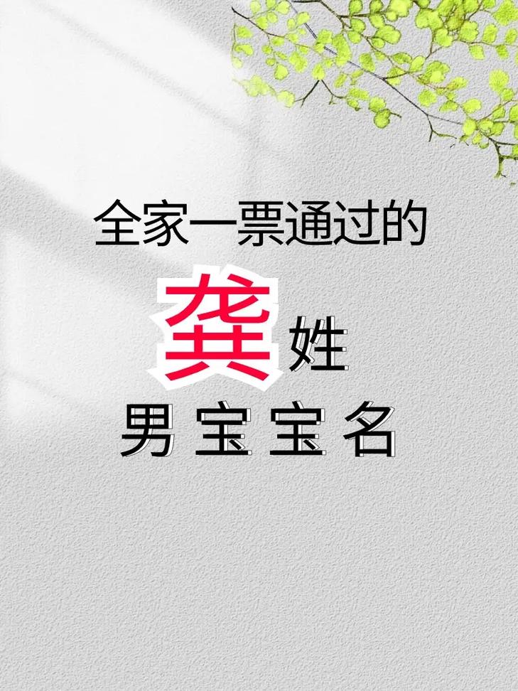 龚姓爸爸给孩子取名男孩_姓龚男孩取名_五行八字起名
