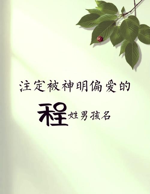 程姓男孩名字寓意_姓程取名字好记的男孩_程姓男孩名字推荐