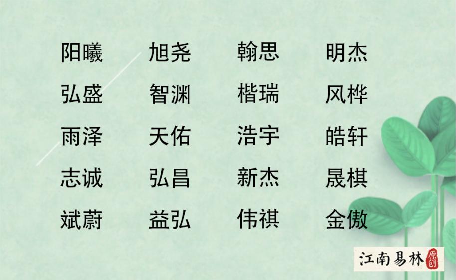 四字宝宝名字_宝宝生辰八字取名_佳字取名男孩名字
