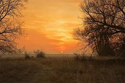 郑姓女孩取名带颖字_郑姓女孩名字大全集_独特优雅的郑姓女孩名字