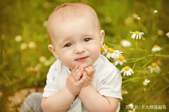 虎年男孩取名森林好吗_虎宝宝名字寓意_虎年出生男孩取名技巧