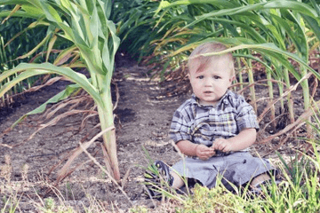 2024年男孩姓陈怎么取名字大全