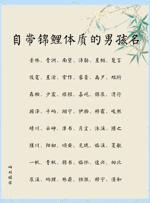 男孩取名寓意解析：精选单字与高分名字组合,第2张