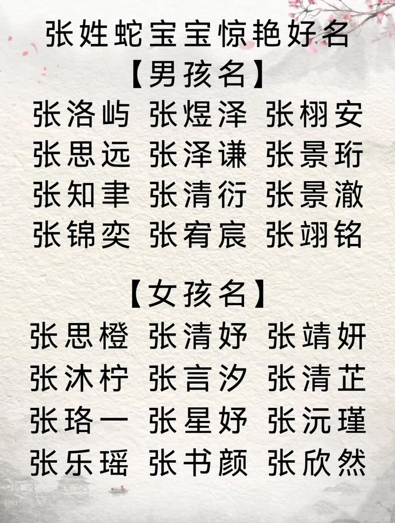 张姓双胞胎男孩朗字取名_张姓双胞胎男孩名字寓意才华_张姓双胞胎男孩名字好听有才华